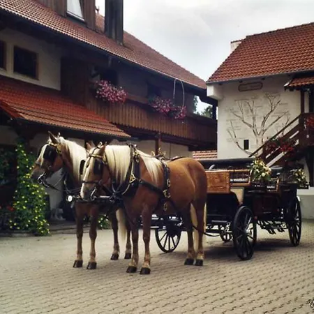 Appartementhaus Haflinger Hof-3